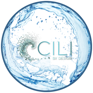 CILI Partner